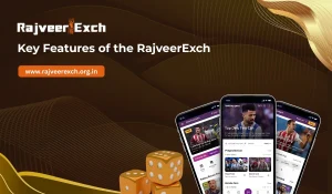 Read more about the article Key Features of RajveerExch