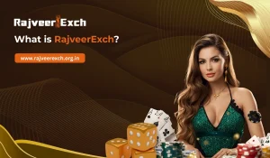 Read more about the article What is RajveerExch?